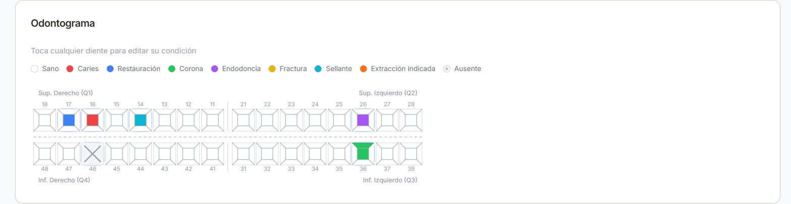 Completás la consulta